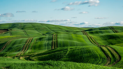 A vibrant landscape photograph of rolling green hills with distinct tractor tire tracks creating diagonal lines across the terrain.