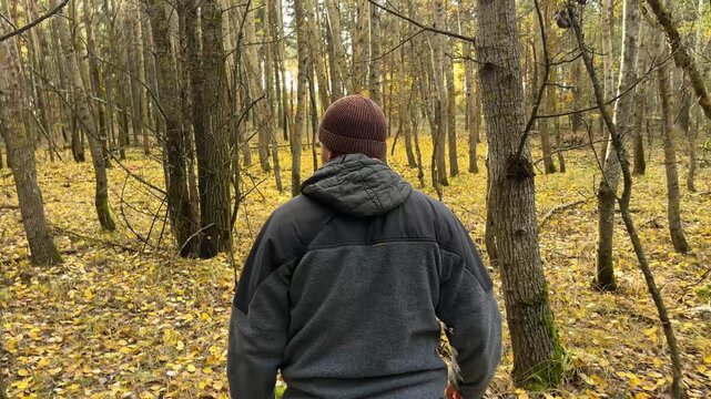 A guy is walking in a yellow autumn forest