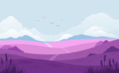Field lavanda vector illustration. Landscape of beautiful lavender field in bloom.