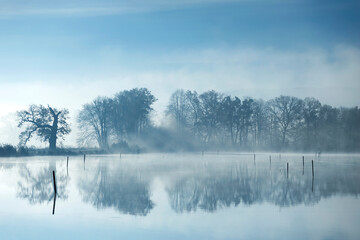 Jesienny, mglisty poranek nad stawem, tapeta, dekoracja,.