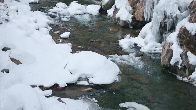4K slow motion shot of a small water stream besides the frozen Drung waterfall as seen near Gulmarg in Jammu and Kashmir, India. Scenic view of river flowing besides snow in winter season in Himalayas