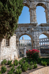 Fototapeta premium Part of the Amphitheater with flower in Pula, Croatia