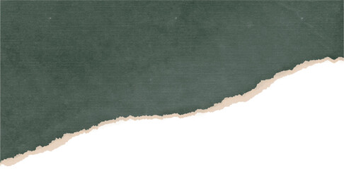 ripped lined paper strips crumpled torn paper page Ripped torn paper edges isolated transparent png