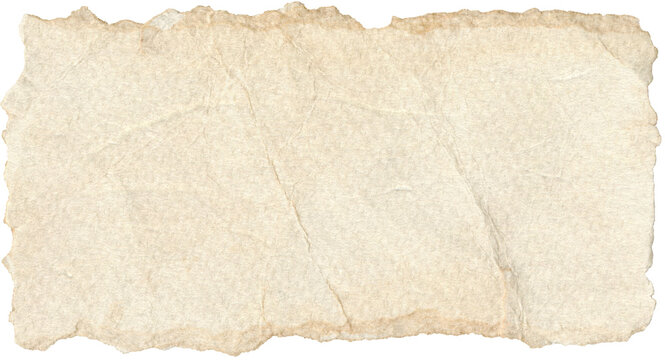 ripped lined paper strips crumpled torn paper page Ripped torn paper edges isolated transparent png