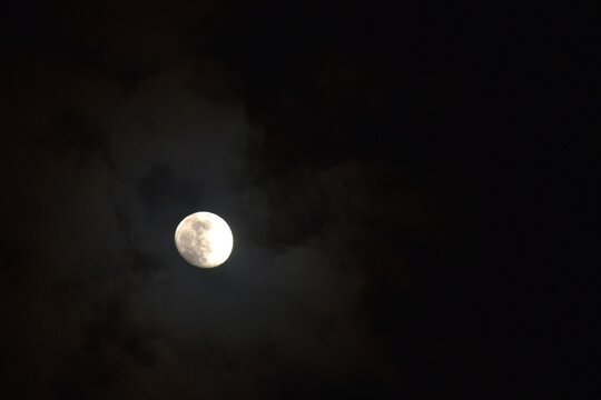 half moon covering by cloud floating on sky in night background