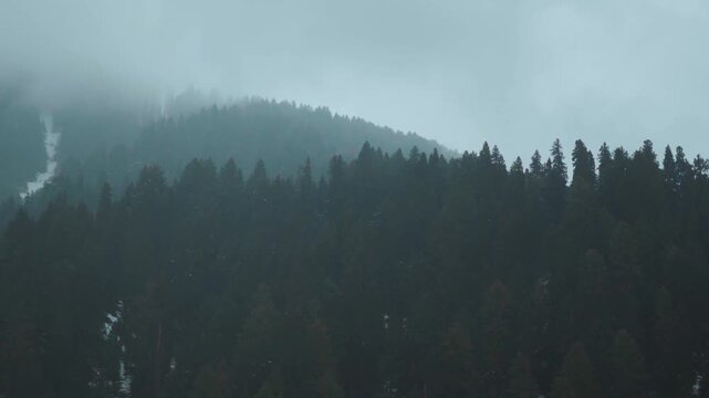 Slow motion shot of snowfall during the winter season in front of mountain peak with Pine trees on top of it as seen from Betaab valley in Pahalgam, Jammu and Kashmir, India. Scenic view of Snowfall.	