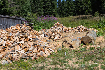 Stacked firewood by wooden shed in rural forest setting with wildflowers