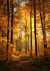 Fototapeta premium Golden forest, autumn foliage, sunlight, path, tranquil mood