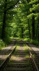 Obraz premium Railroad Tracks Through Lush Green Forest - A Journey into Nature.