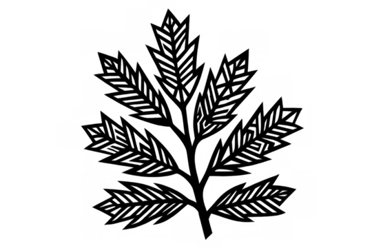 Stylized black leaf drawing with detailed line work, presenting a nature motif with a transparent background