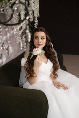 Portrait of a beautiful girl bride in a long wedding dress with an elegant hairstyle.
