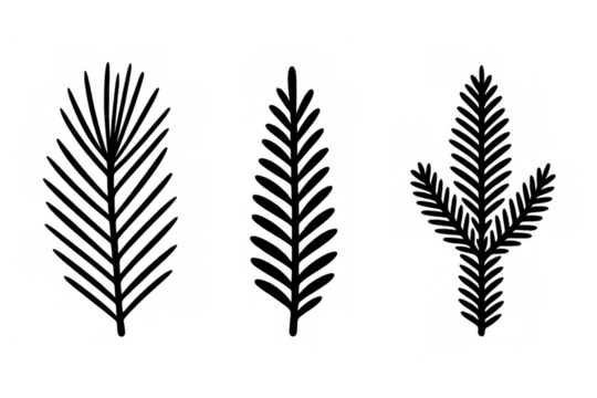 Evergreen branch sketches offering natural element illustrations for winter, christmas, and organic design projects