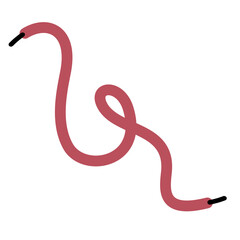 Shoelace Illustration