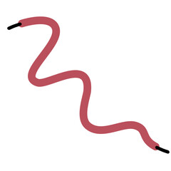 Shoelace Illustration