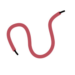 Shoelace Illustration