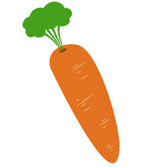 Carrot Vegetable Illustration