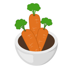 Illustration of Carrots in a Bowl