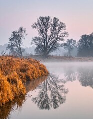 Misty morning landscape with bare trees reflected in calm water