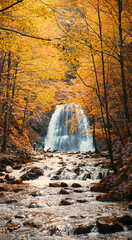 autumnal forest and Josefsthaler waterfalls. colorful beech trees. Hachelbach creek with rocks.