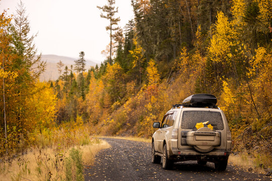 Japanese SUV on scenic autumn road in the forest