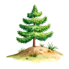 Lush evergreen tree on a small, sandy hill with grass