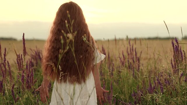 Cute little girl walks touching high grass along field at sunset light backside view. Adorable little girl walks among wild plants in rural field on holiday. Little girl rests walking along field
