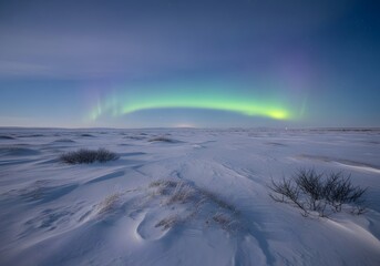 Green aurora arc over snow covered tundra at twilight with textured icy foreground