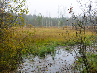 quiet lake Belskoye in the Moscow region in autumn