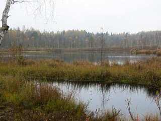 quiet lake Belskoye in the Moscow region in autumn