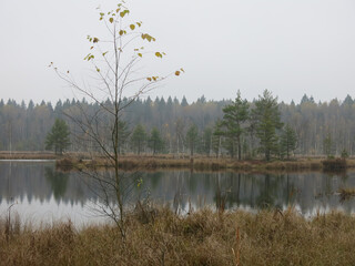 quiet lake Belskoye in the Moscow region in autumn