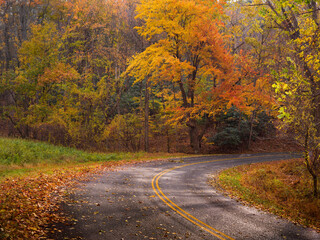Meandering road surrounded by beautiful autumn foliage along the Blue Ridge Parkway, VA USA