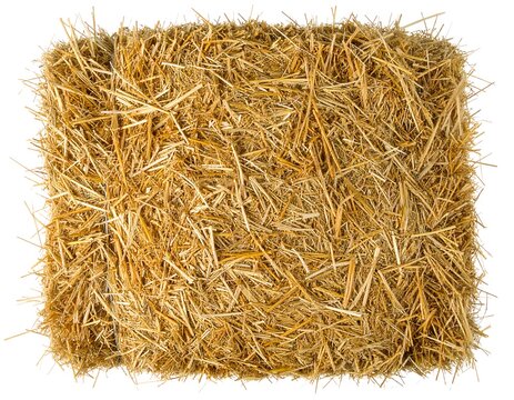 A bale of straw, top view