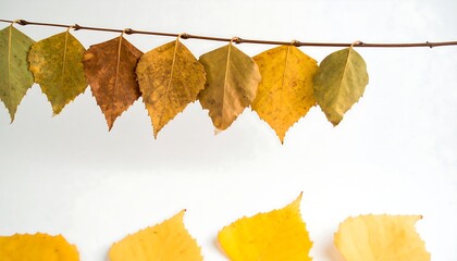 Autumn leaves on a string