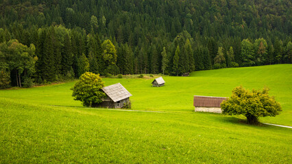 minimalist vibrant green valley with wooden alpine cabins and dense pine forest. fresh green hillside. alpine rural landscape. lush green