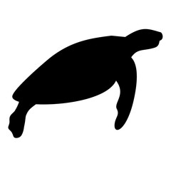 Turtle Silhouette 