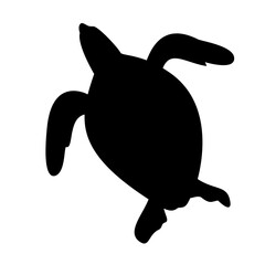 Turtle Silhouette 