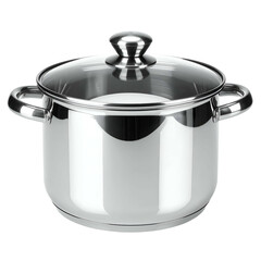 Shiny metal pot with glass lid and two handles