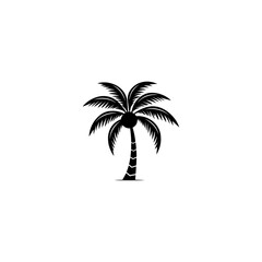 Fototapeta premium Plam tree silhouette 