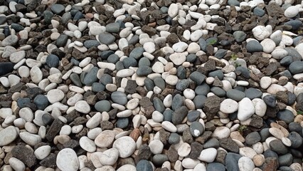 Close-up texture of grey gravel with scattered dry and green leaves. Rustic outdoor detail