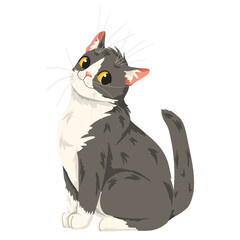 Grey and white cute cat isolated on white background. Domestic cat character design. Vector cartoon animal illustration for children’s books, stickers, print