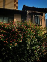 old house with flowers