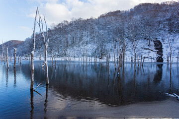 静寂なひととき