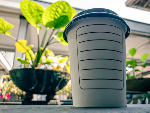 A takeaway coffee cup stands outdoors near green plants in bright daylight, capturing a calm and refreshing moment with a simple modern lifestyle feel.