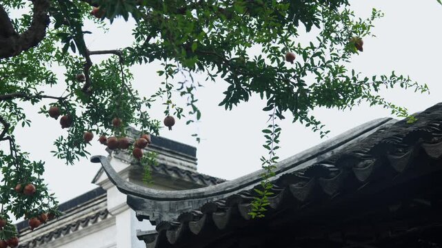 Pomegranate Tree with Traditional Asian Architecture