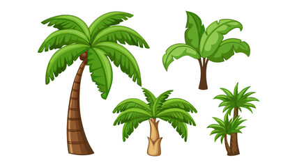 Obraz premium Tropical Paradise of Palms: A collection of various palm trees, lush and vibrant, representing the essence of a tropical oasis, perfect for conveying the beauty of nature. 