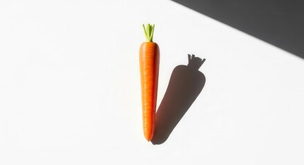 Vibrant Carrot Illuminated by Sunlight With a Distinct Shadow on an Isolated Surface