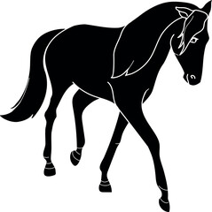 Obraz premium Black silhouette of a horse walking forwar isolated on white background