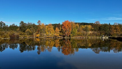 autumn trees reflected in lake