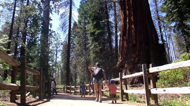 Mother and children walking on a path in a giant sequoia forest, exploring nature, connecting with family, enjoying summer travel and hiking in a national park