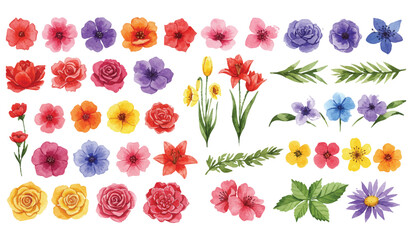 Fototapeta premium Vibrant Watercolor Collection of Diverse Floral Elements and Botanical Illustrations, Perfect for Spring and Summer Designs